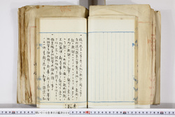 明い016020090139.jpg