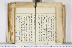 明い016020090141.jpg