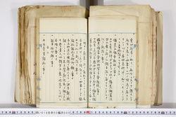 明い016020090143.jpg