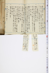明い016020090144.jpg