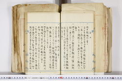 明い016020090145.jpg