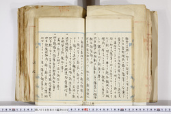 明い016020090146.jpg