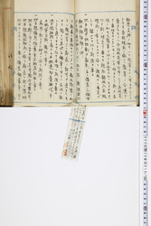 明い016020090147.jpg