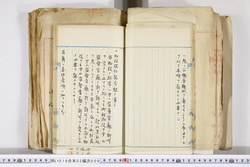 明い016020090148.jpg