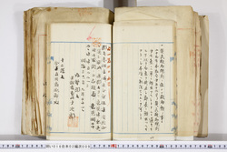 明い016020090150.jpg