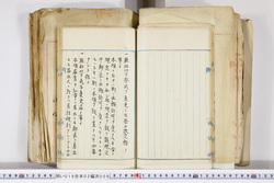 明い016020090152.jpg