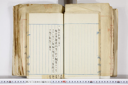 明い016020090154.jpg