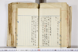 明い016020090157.jpg