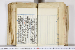 明い016020090158.jpg
