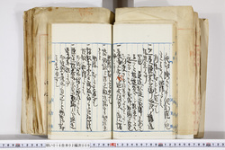 明い016020090159.jpg