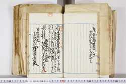 明い016020090160.jpg
