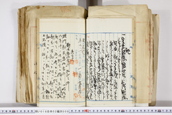 明い016020090161.jpg