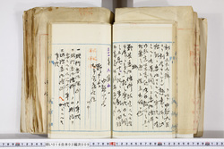 明い016020090162.jpg