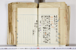 明い016020090163.jpg