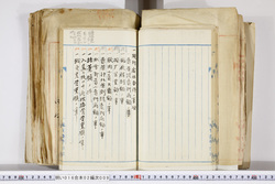 明い016020090165.jpg