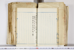 明い016020090166.jpg