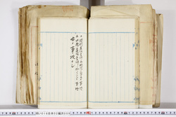 明い016020090169.jpg