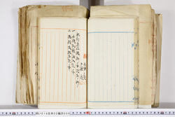 明い016020090170.jpg