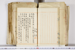 明い016020090171.jpg