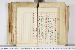 明い016020090172.jpg