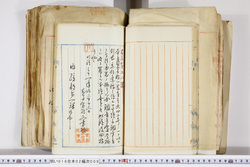 明い016020090173.jpg
