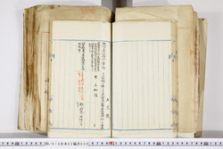 明い016020090175.jpg