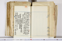 明い016020090177.jpg