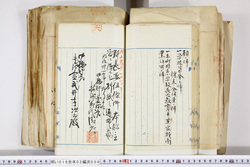 明い016020090178.jpg