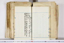 明い016020090179.jpg