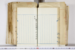 明い016020090181.jpg