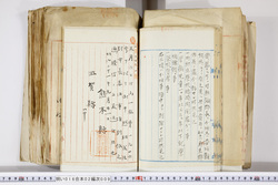 明い016020090183.jpg