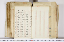 明い016020090184.jpg