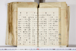 明い016020090185.jpg