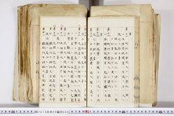 明い016020090186.jpg