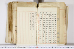 明い016020090187.jpg