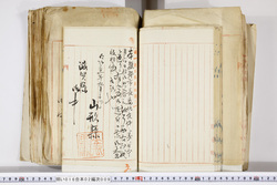 明い016020090188.jpg