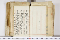 明い016020090190.jpg