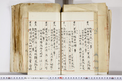 明い016020090191.jpg