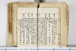 明い016020090192.jpg