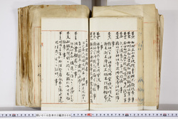 明い016020090193.jpg