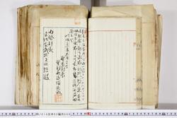 明い016020090194.jpg