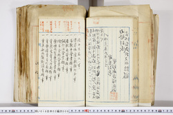 明い016020090195.jpg