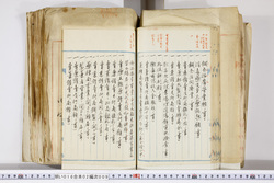 明い016020090196.jpg