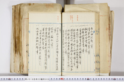 明い016020090197.jpg