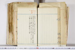 明い016020090198.jpg