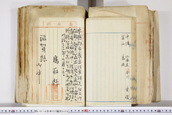 明い016020090200.jpg