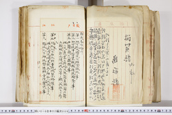 明い016020090201.jpg