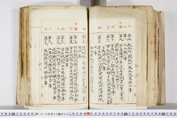 明い016020090202.jpg