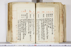 明い016020090203.jpg