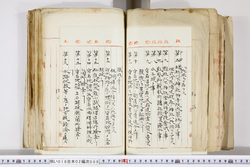 明い016020090204.jpg